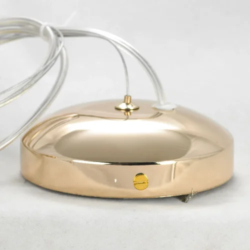 Люстра подвесная LSP-8461 Lussole прозрачная на 9 ламп, основание золотое в стиле современный  фото 2